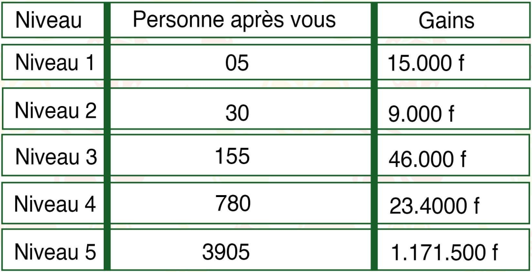 Tableau bonus matriciel